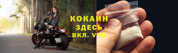 спайс Няндома
