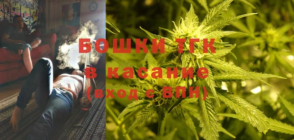 прущие крисы Армянск